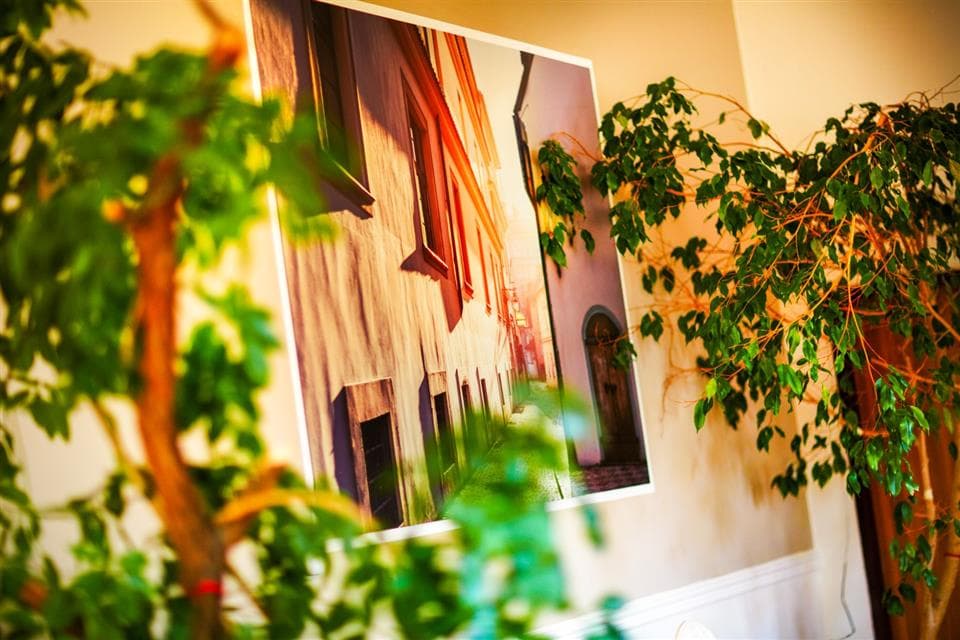 Staré Město 180 — fotografie 3