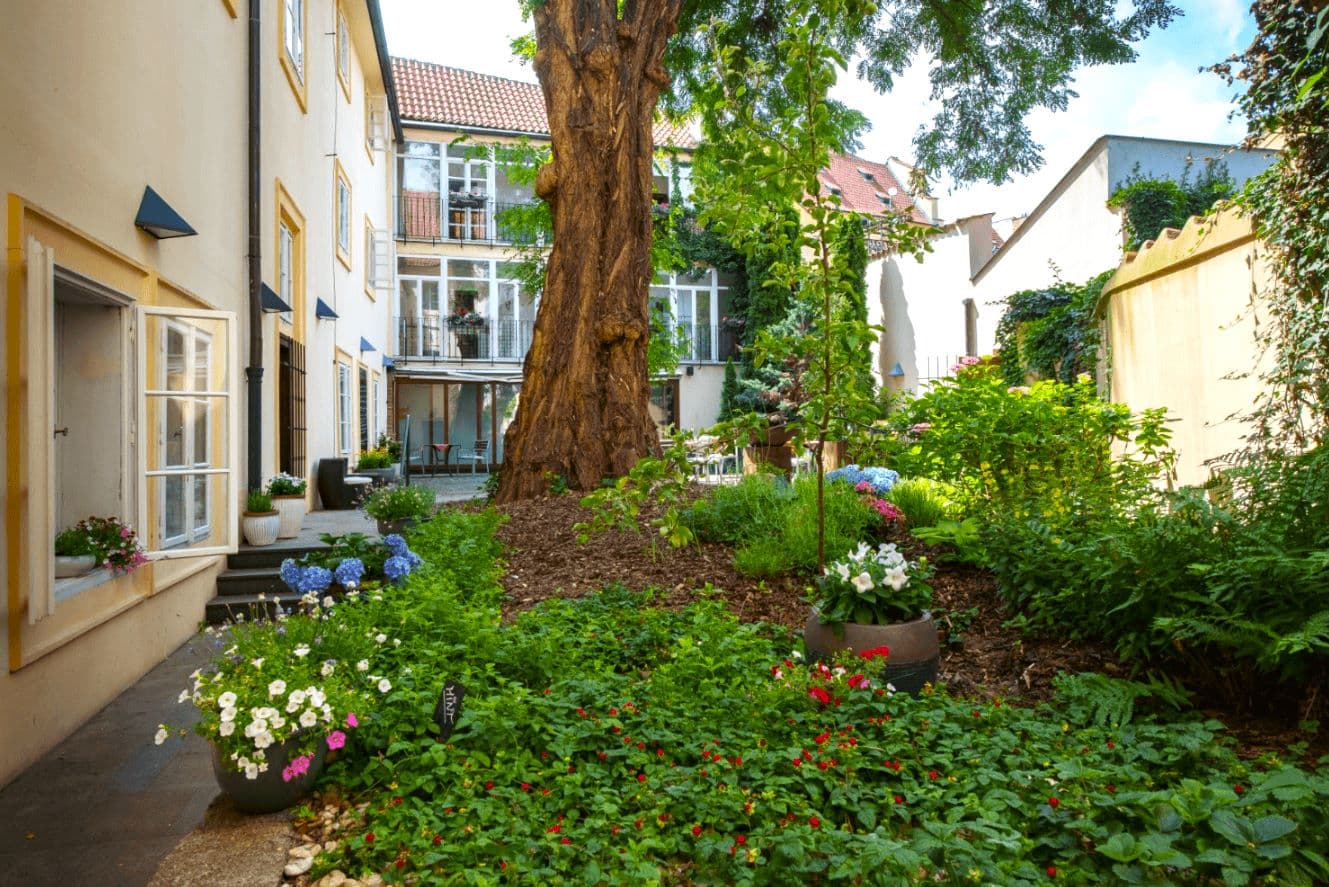 Staré Město 504 — fotografie 3